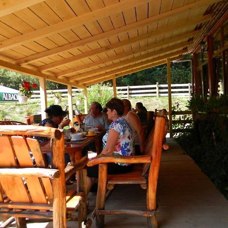 Pensiunea Mama Uta Gîrda de Sus Extérieur photo