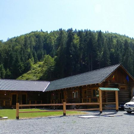 Pensiunea Mama Uta Gîrda de Sus Extérieur photo