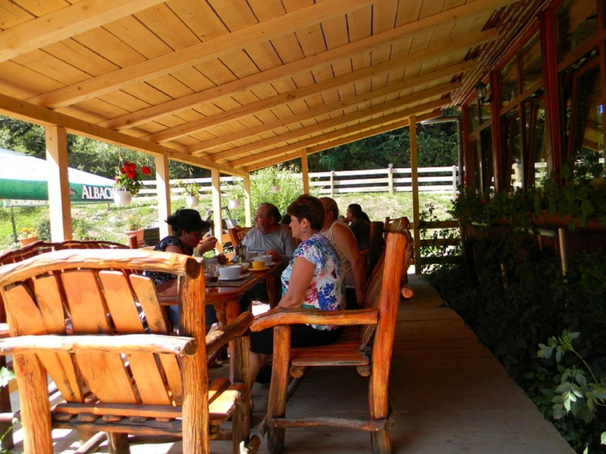 Pensiunea Mama Uta Gîrda de Sus Extérieur photo