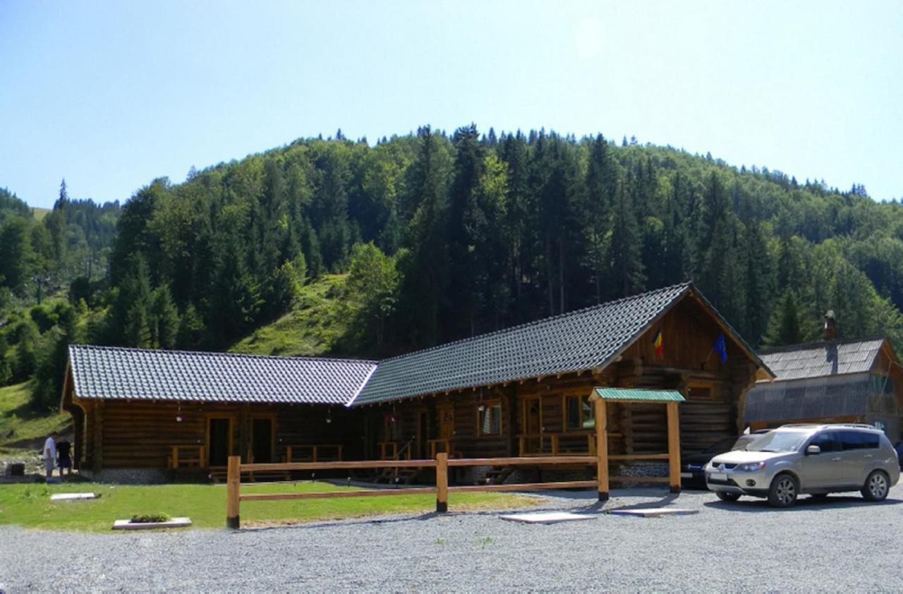 Pensiunea Mama Uta Gîrda de Sus Extérieur photo
